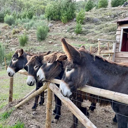 Mountain Eco Shelter 1