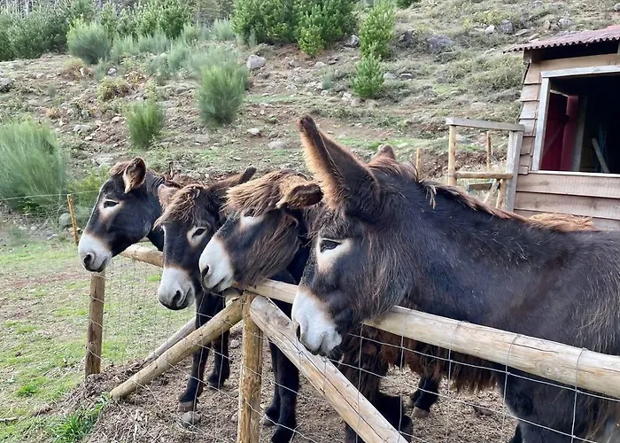 Mountain Eco Shelter 1
